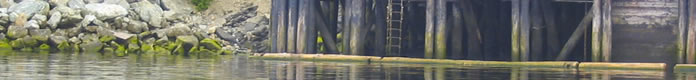 river crossing surveys